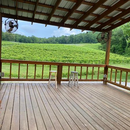 Eagle Mountain River Retreat Ellijay Dış mekan fotoğraf
