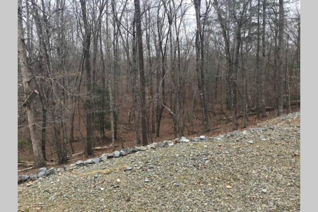 Eagle Mountain River Retreat Ellijay Dış mekan fotoğraf