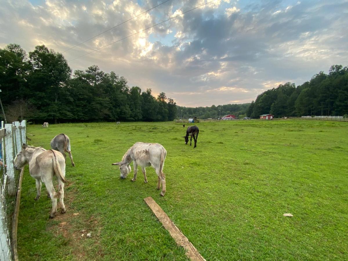 Eagle Mountain River Retreat Ellijay Dış mekan fotoğraf