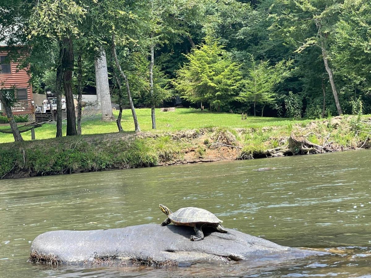 Eagle Mountain River Retreat Ellijay Dış mekan fotoğraf