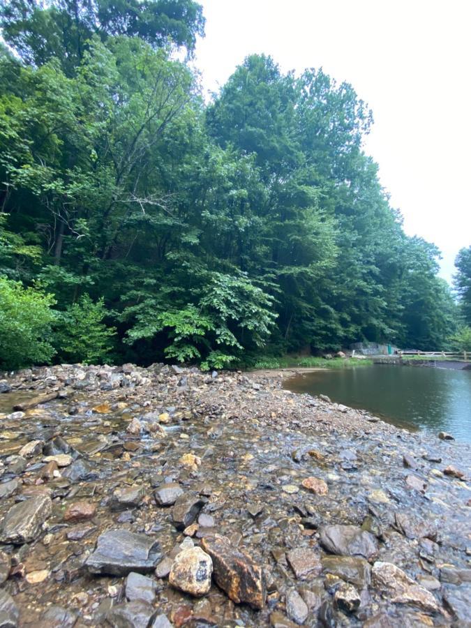 Eagle Mountain River Retreat Ellijay Dış mekan fotoğraf